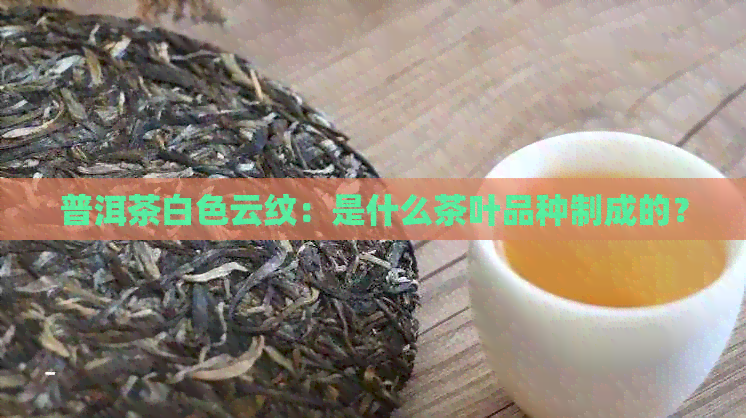 普洱茶白色云纹：是什么茶叶品种制成的？