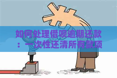 如何处理借呗逾期还款：一次性还清所有款项，包括未逾期部分？