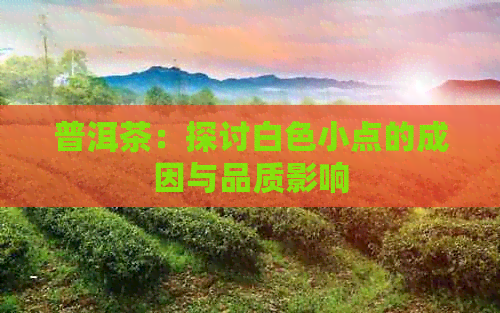 普洱茶：探讨白色小点的成因与品质影响