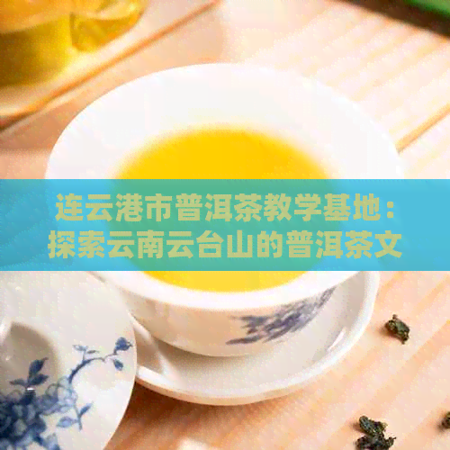 连云港市普洱茶教学基地：探索云南云台山的普洱茶文化与制作技艺