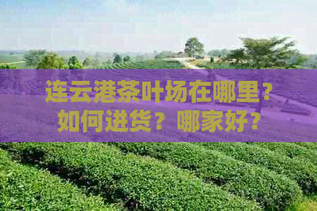 连云港茶叶场在哪里？如何进货？哪家好？