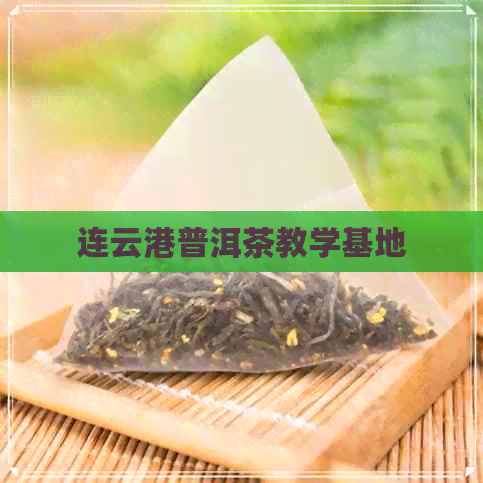 连云港普洱茶教学基地