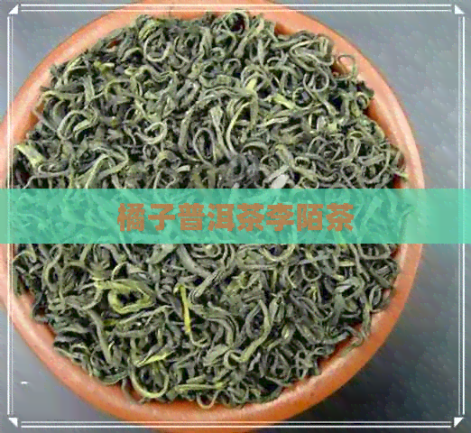 橘子普洱茶李陌茶