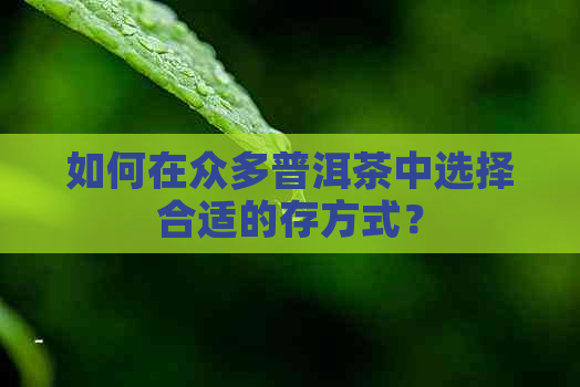 如何在众多普洱茶中选择合适的存方式？