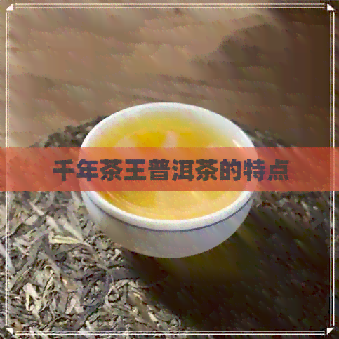 千年茶王普洱茶的特点