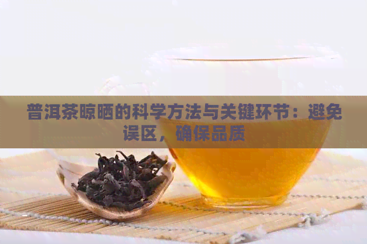 普洱茶晾晒的科学方法与关键环节：避免误区，确保品质