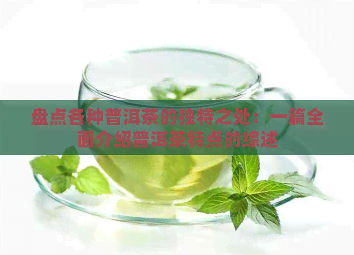 盘点各种普洱茶的独特之处：一篇全面介绍普洱茶特点的综述