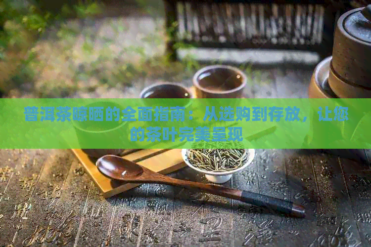 普洱茶晾晒的全面指南：从选购到存放，让您的茶叶完美呈现