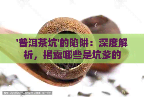 '普洱茶坑'的陷阱：深度解析，揭露哪些是坑爹的