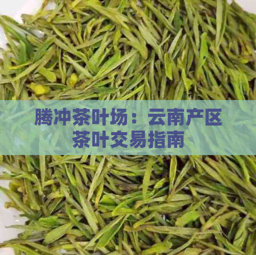 腾冲茶叶场：云南产区茶叶交易指南