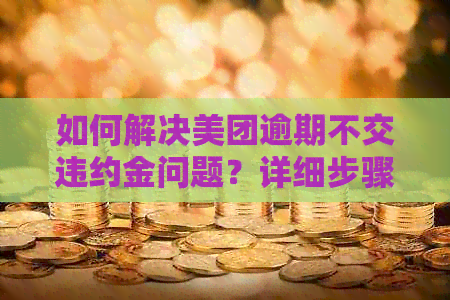 如何解决美团逾期不交违约金问题？详细步骤和建议