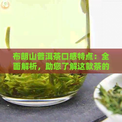 布朗山普洱茶口感特点：全面解析，助您了解这款茶的魅力所在