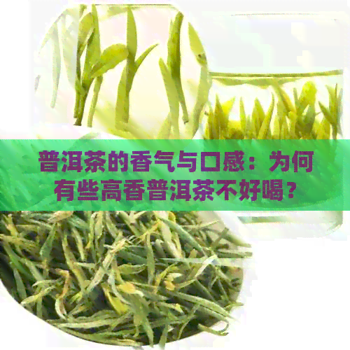 普洱茶的香气与口感：为何有些高香普洱茶不好喝？