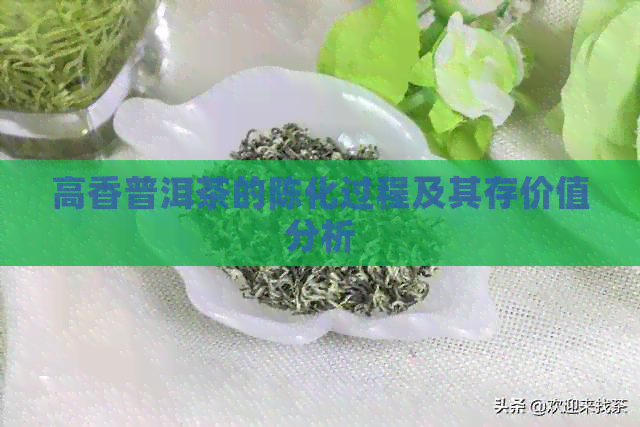 高香普洱茶的陈化过程及其存价值分析