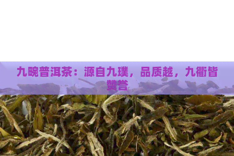 九畹普洱茶：源自九璞，品质越，九衢皆赞誉