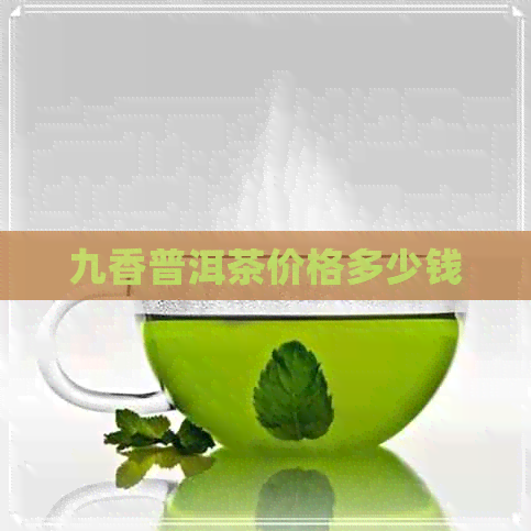 九香普洱茶价格多少钱