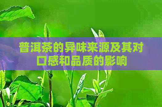 普洱茶的异味来源及其对口感和品质的影响