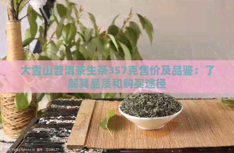 大雪山普洱茶生茶357克售价及品鉴：了解其品质和购买途径