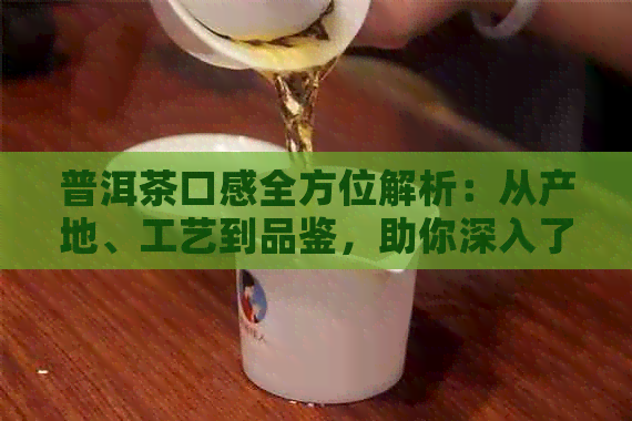 普洱茶口感全方位解析：从产地、工艺到品鉴，助你深入了解新班章茶的魅力