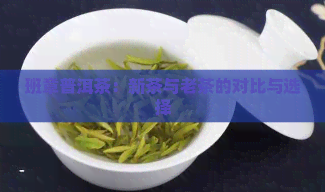 班章普洱茶：新茶与老茶的对比与选择