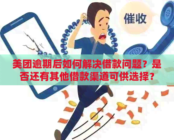 美团逾期后如何解决借款问题？是否还有其他借款渠道可供选择？