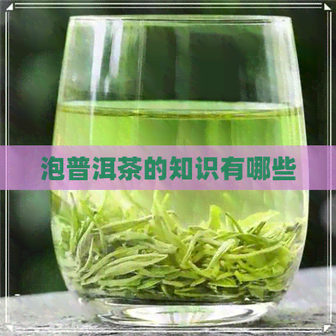 泡普洱茶的知识有哪些