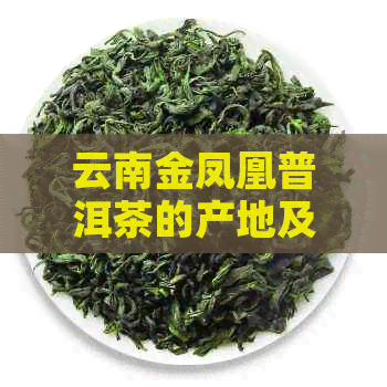 云南金凤凰普洱茶的产地及其特色分析