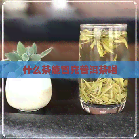 什么茶能冒充普洱茶喝