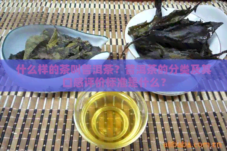 什么样的茶叫普洱茶？普洱茶的分类及其口感评价标准是什么？