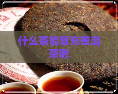 什么茶能冒充普洱茶呢