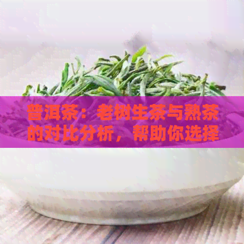 普洱茶：老树生茶与熟茶的对比分析，帮助你选择适合的茶叶