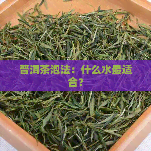 普洱茶泡法：什么水最适合？