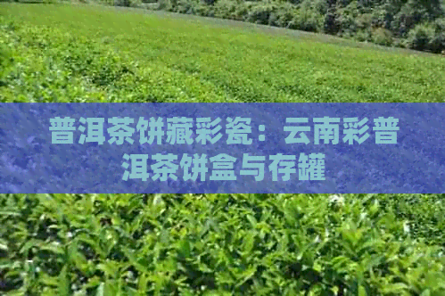 普洱茶饼藏彩瓷：云南彩普洱茶饼盒与存罐