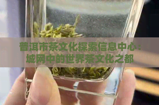 普洱市茶文化探索信息中心：城网中的世界茶文化之都