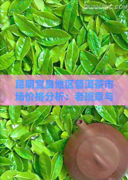 昆明宜良地区普洱茶市场价格分析：老班章与云南普洱茶的对比研究