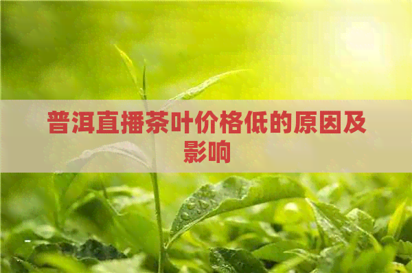 普洱直播茶叶价格低的原因及影响