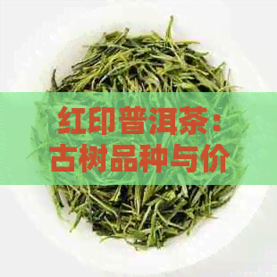 红印普洱茶：古树品种与价格指南，了解每斤多少钱？