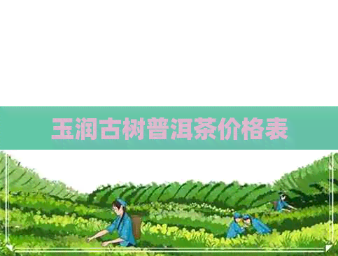 玉润古树普洱茶价格表