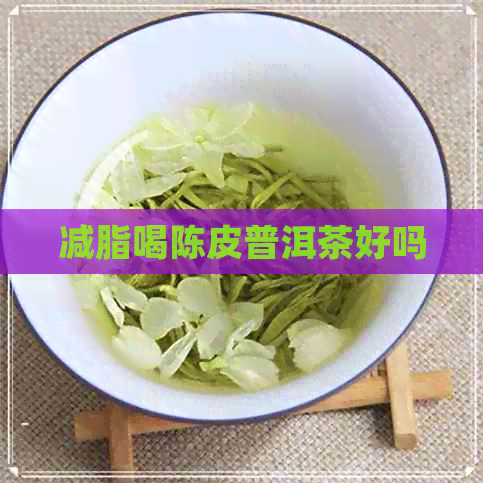 减脂喝陈皮普洱茶好吗