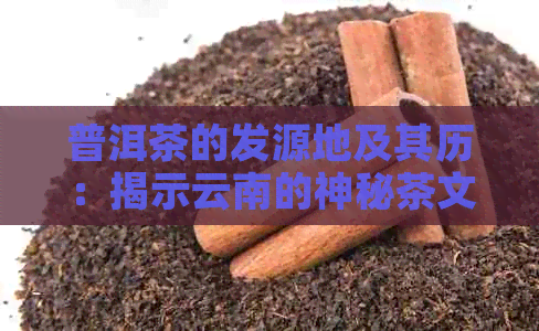 普洱茶的发源地及其历：揭示云南的神秘茶文化