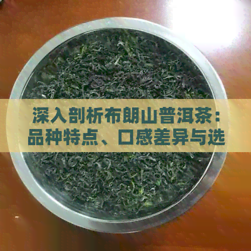 深入剖析布朗山普洱茶：品种特点、口感差异与选购指南