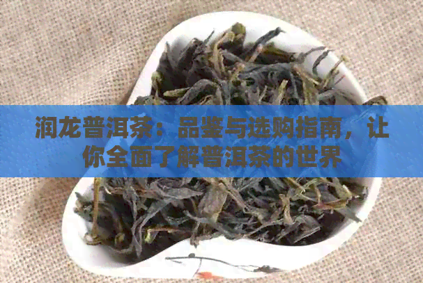 润龙普洱茶：品鉴与选购指南，让你全面了解普洱茶的世界