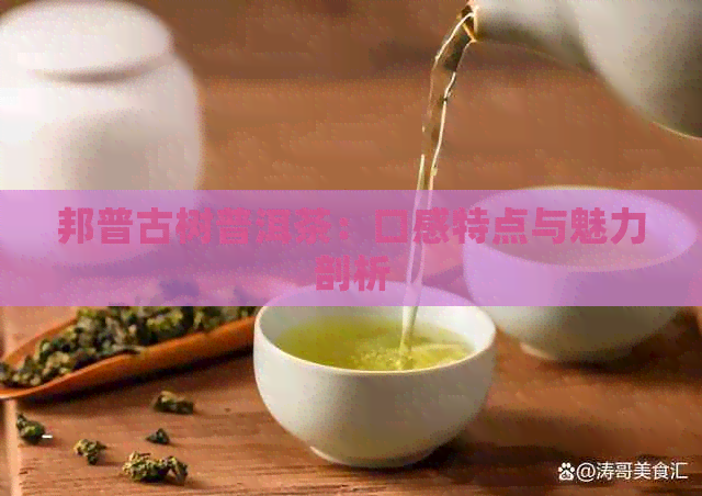 邦普古树普洱茶：口感特点与魅力剖析