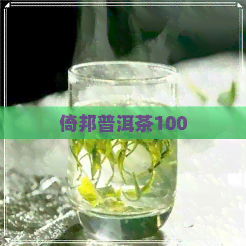 倚邦普洱茶100