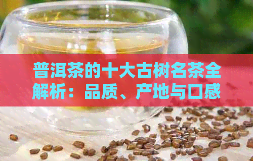 普洱茶的十大古树名茶全解析：品质、产地与口感的综合指南