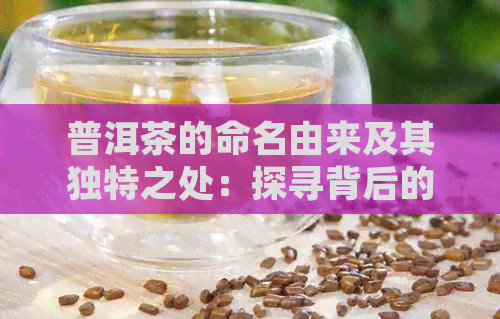 普洱茶的命名由来及其独特之处：探寻背后的故事和发酵工艺