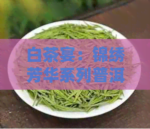 白茶宴：锦绣芳华系列普洱茶礼盒，黄金比例茶叶京东特价