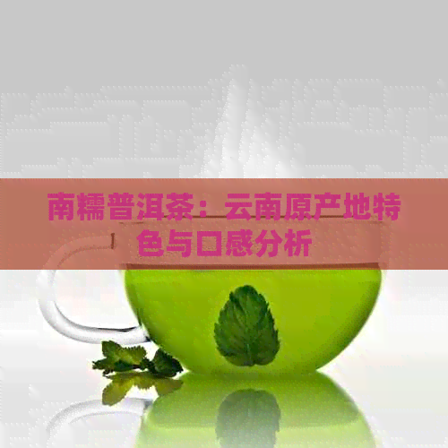 南糯普洱茶：云南原产地特色与口感分析