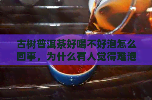 古树普洱茶好喝不好泡怎么回事，为什么有人觉得难泡？