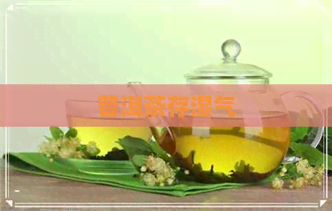 普洱茶存湿气